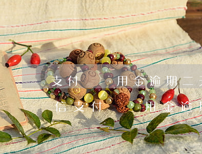 支付寶備用金逾期二天怎么修復(fù)征信，支付寶備用金逾期兩天，如何修復(fù)征信記錄？